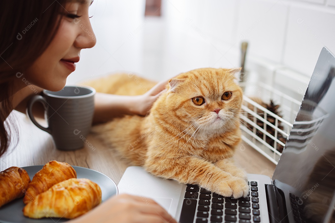 Mulher jovem asiática feliz trabalhando com computador portátil com gato bonito durante o dia de manhã.