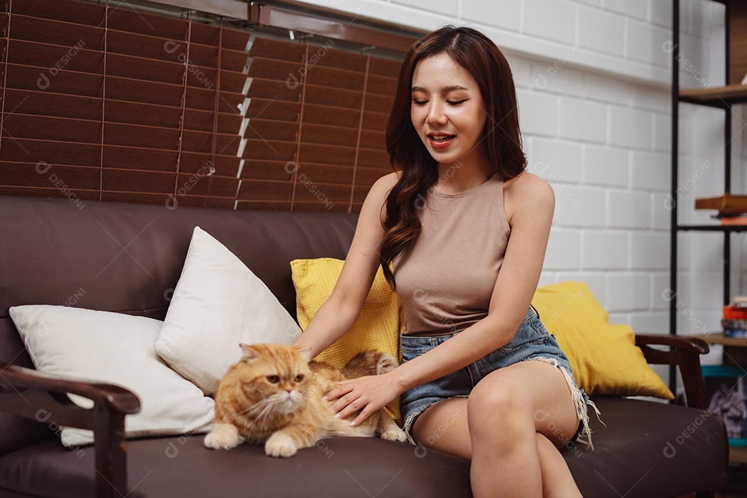 Gato bonito feliz brincalhão em uma casa. Amizade de animais de estimação e estilo de vida humano.