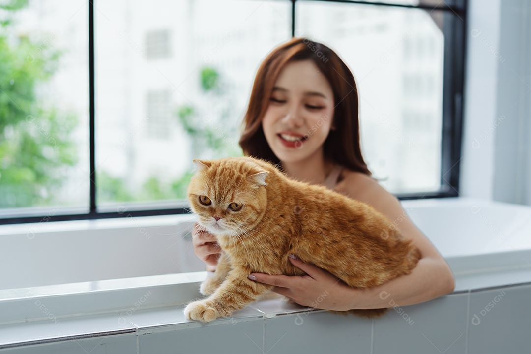 Gato bonito feliz brincalhão em uma casa. Amizade de animais de estimação e estilo de vida humano.