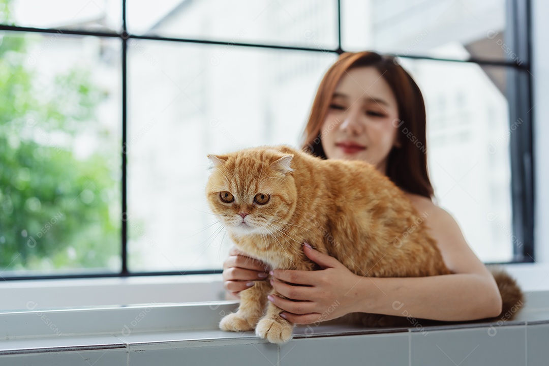 Gato bonito feliz brincalhão em uma casa. Amizade de animais de estimação e estilo de vida humano.