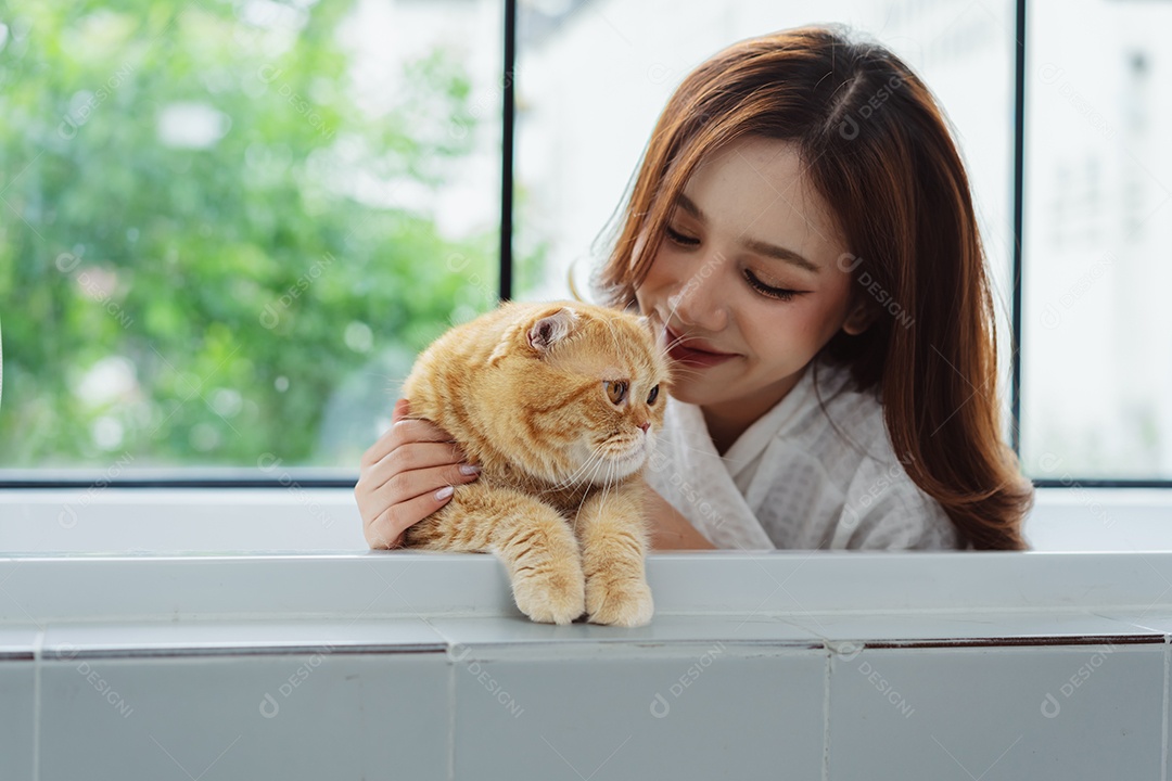 Gato bonito feliz brincalhão em uma casa. Amizade de animais de estimação e estilo de vida humano.