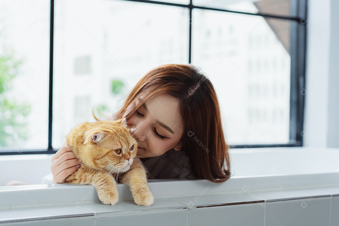 Gato bonito feliz brincalhão em uma casa. Amizade de animais de estimação e estilo de vida humano.