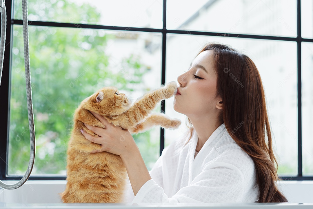 Gato bonito feliz brincalhão em uma casa. Amizade de animais de estimação e estilo de vida humano.