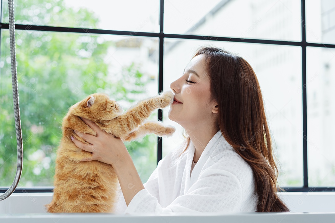 Gato bonito feliz brincalhão em uma casa. Amizade de animais de estimação e estilo de vida humano.