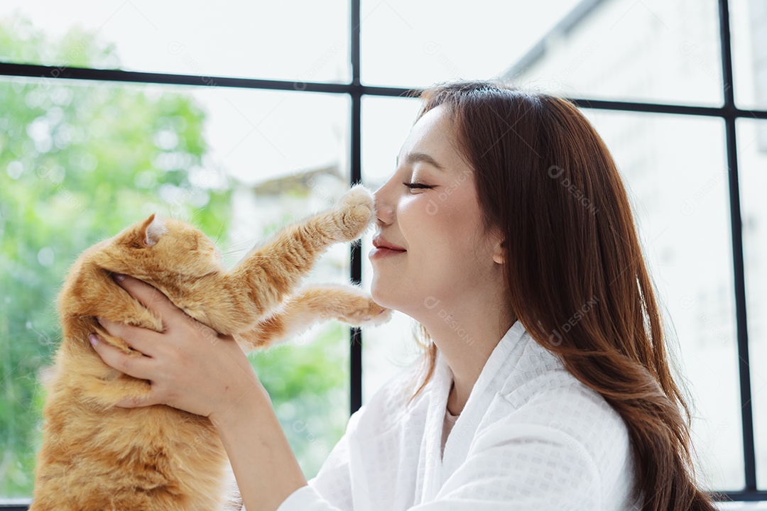 Gato bonito feliz brincalhão em uma casa. Amizade de animais de estimação e estilo de vida humano.