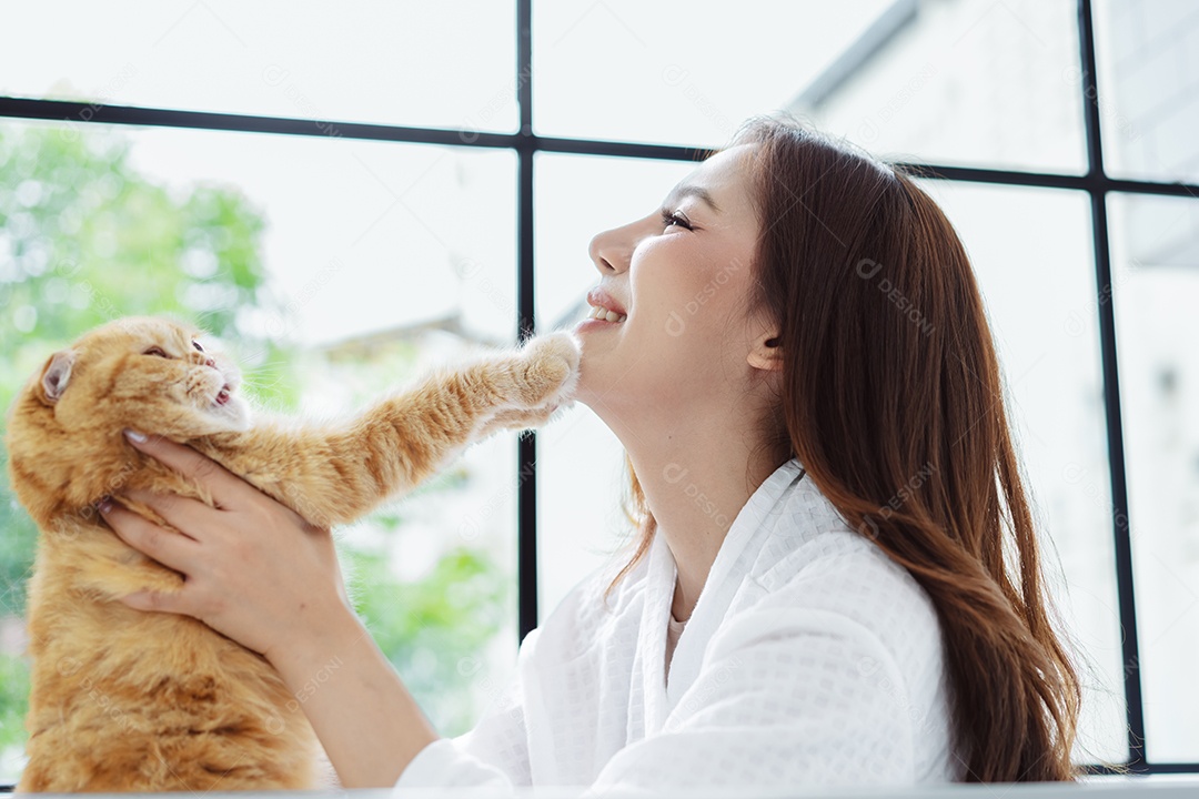 Gato bonito feliz brincalhão em uma casa. Amizade de animais de estimação e estilo de vida humano.