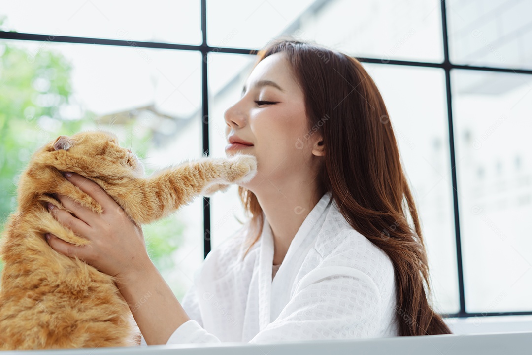 Gato bonito feliz brincalhão em uma casa. Amizade de animais de estimação e estilo de vida humano.