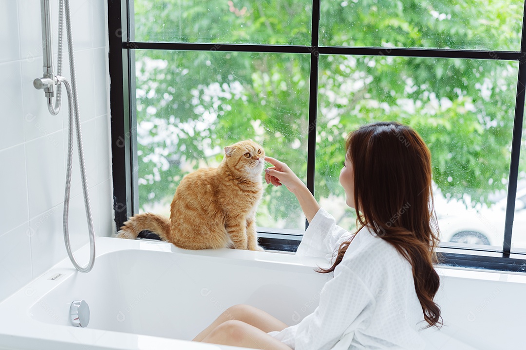Gato bonito feliz brincalhão em uma casa. Amizade de animais de estimação e estilo de vida humano.