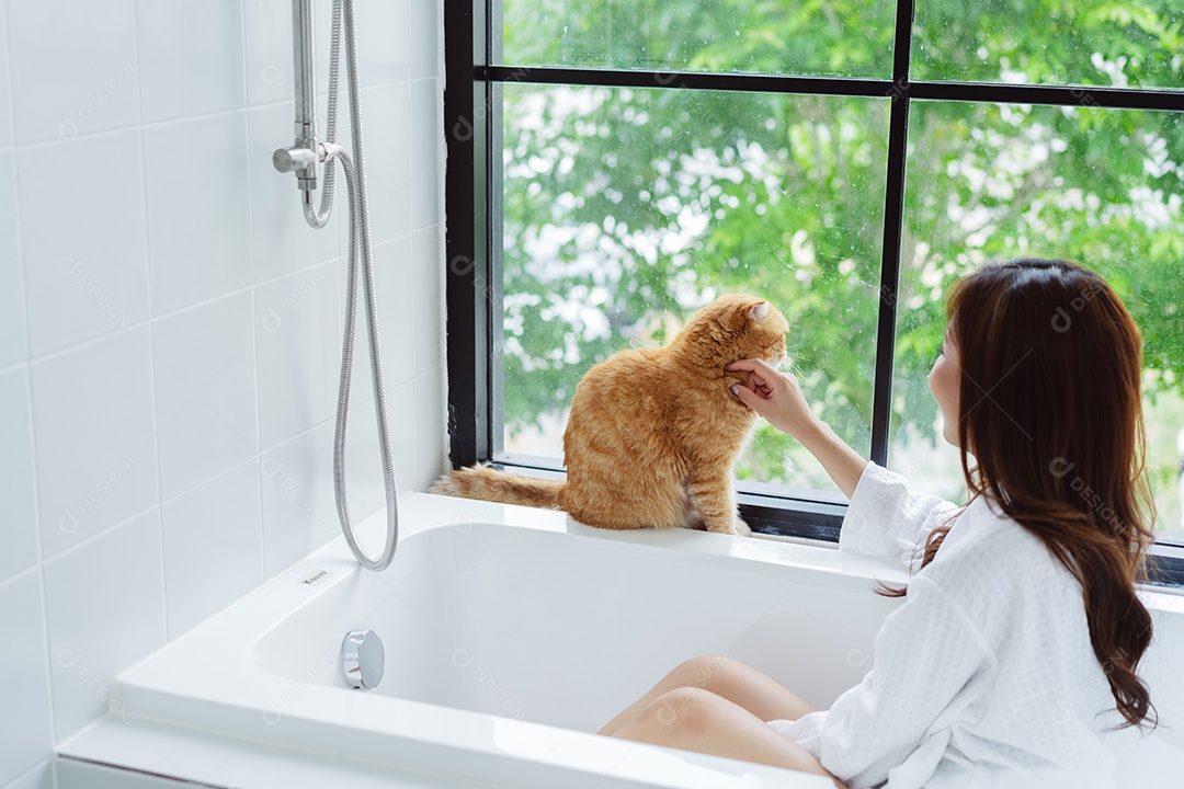 Gato bonito feliz brincalhão em uma casa. Amizade de animais de estimação e estilo de vida humano.