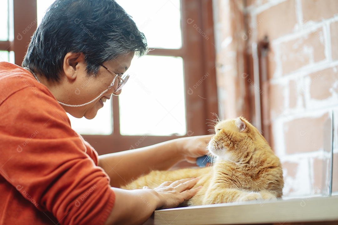 Mulher madura sênior asiática feliz brincando com gato bonito.
