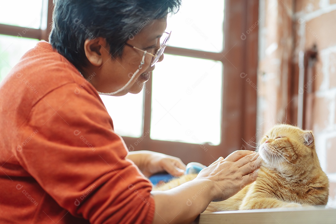 Mulher madura sênior asiática feliz brincando com gato bonito.