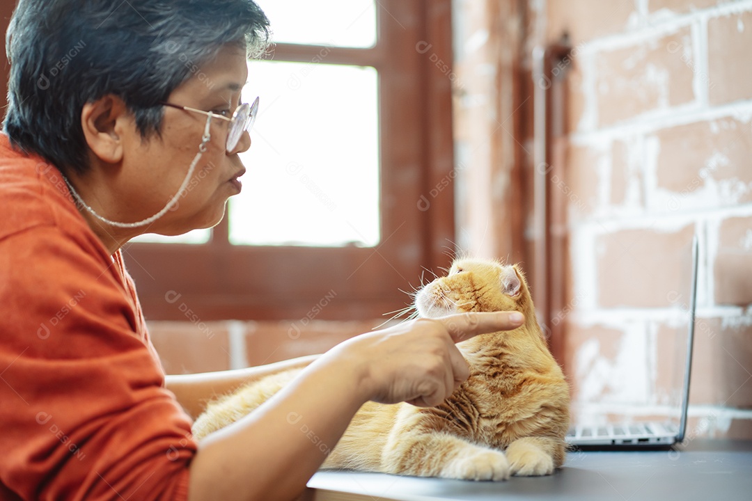 Mulher madura sênior asiática feliz brincando com gato bonito.