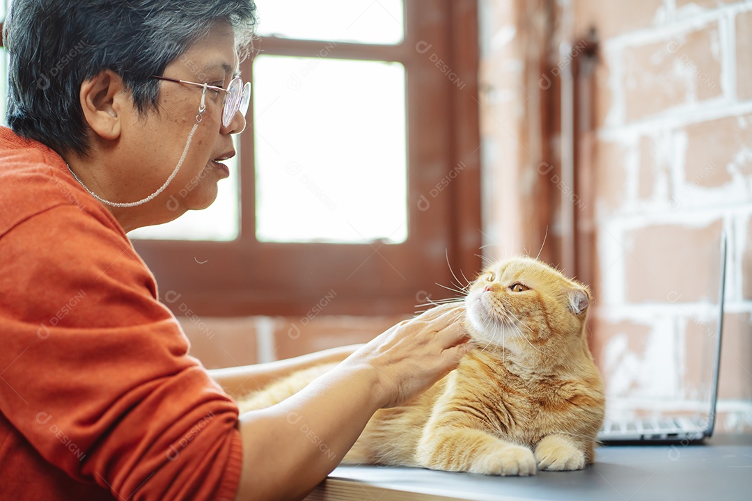 Mulher madura sênior asiática feliz brincando com gato bonito.