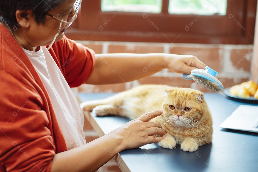 Mulher madura sênior asiática feliz brincando com gato bonito.