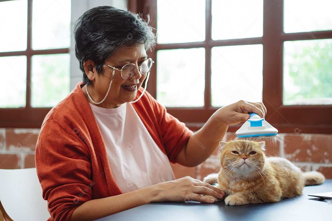 Mulher madura sênior asiática feliz brincando com gato bonito.
