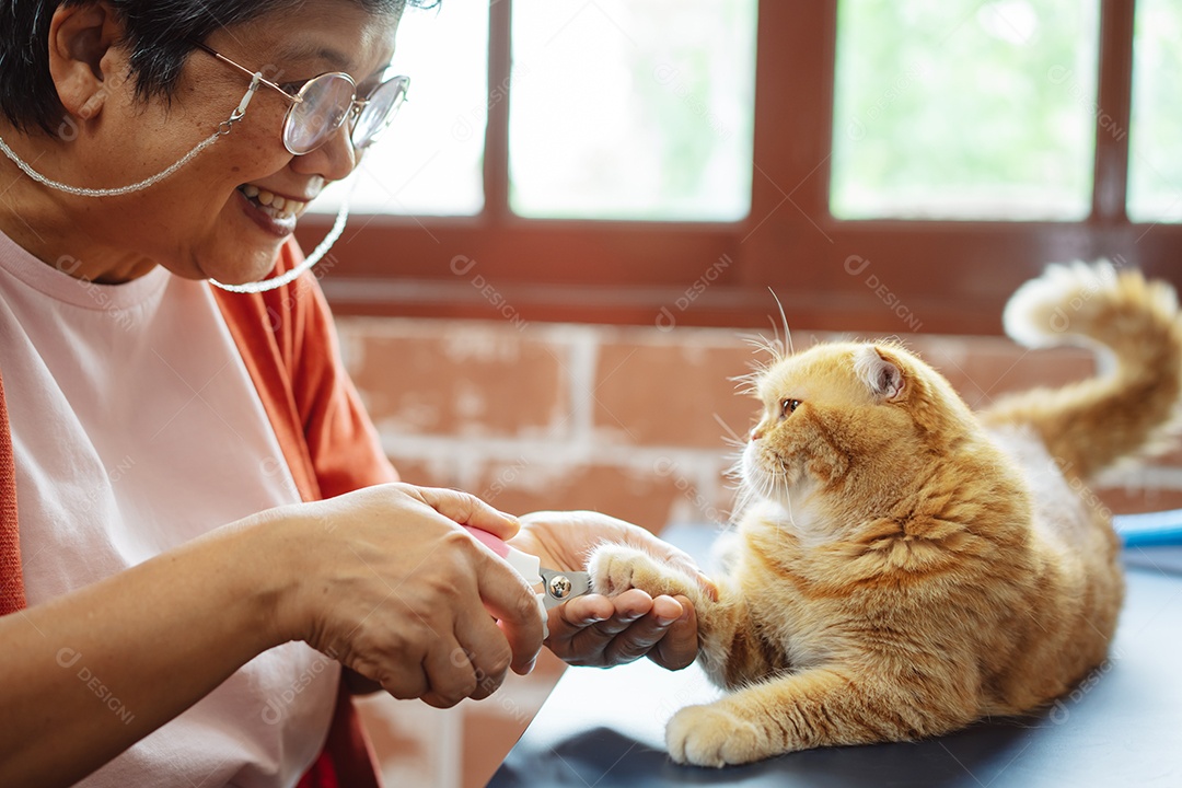 Mulher madura sênior asiática feliz brincando com gato bonito.