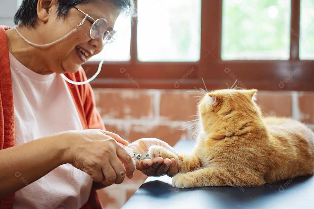 Mulher madura sênior asiática feliz brincando com gato bonito.