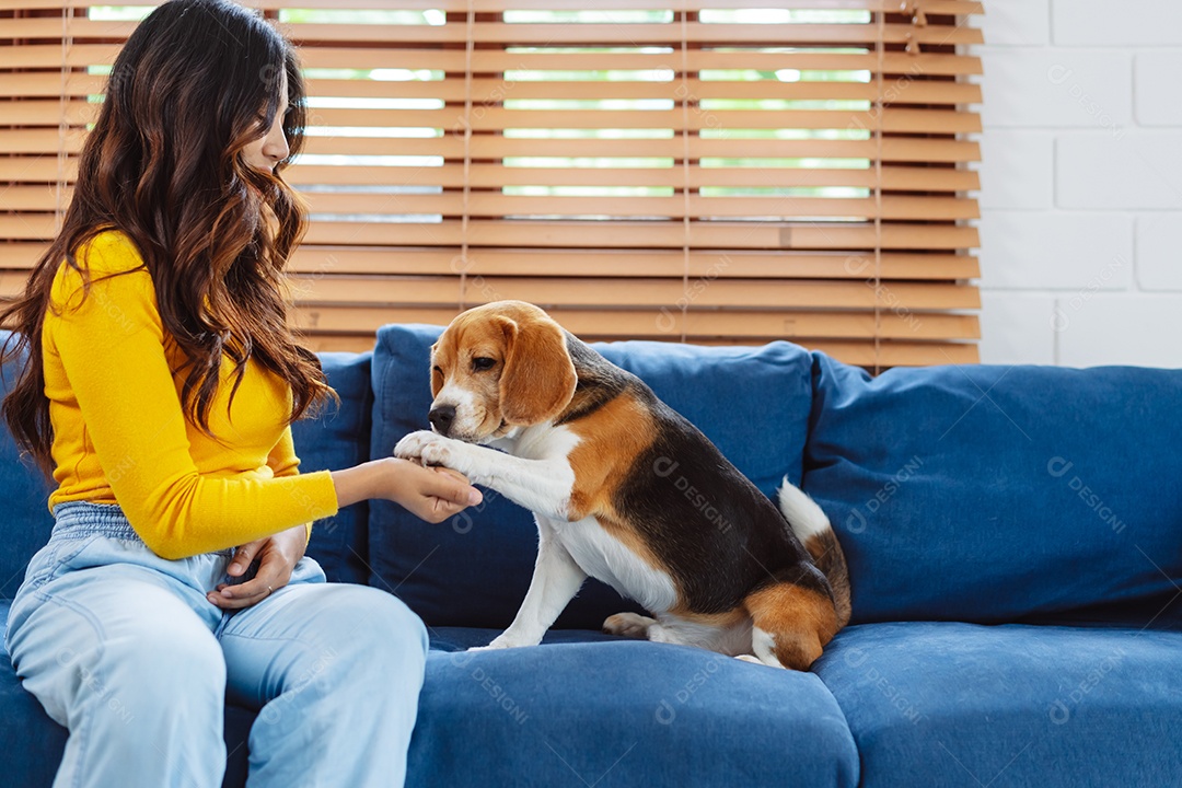 Mulher asiática feliz desfrutando de seu cão de estimação em casa