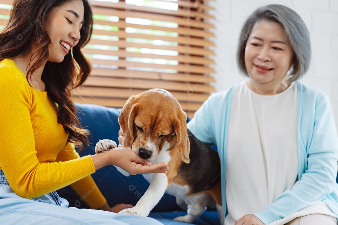 Mulher asiática feliz desfrutando de seu cão de estimação em casa