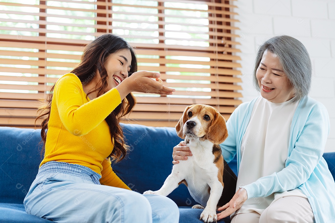 Mulher asiática feliz desfrutando de seu cão de estimação em casa