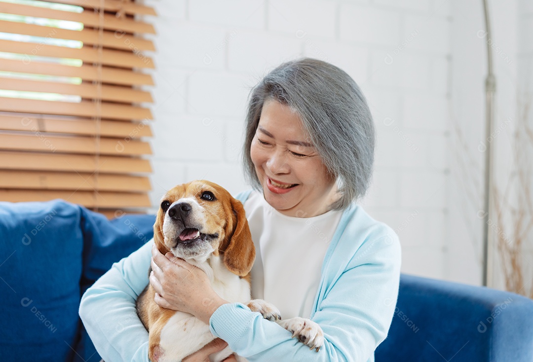 Mulher asiática feliz desfrutando de seu cão de estimação em casa