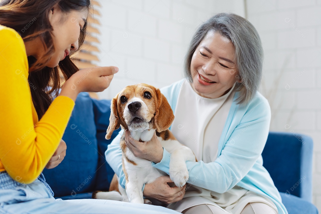 Mulher asiática sênior desfrutando de seu animal de estimação em casa