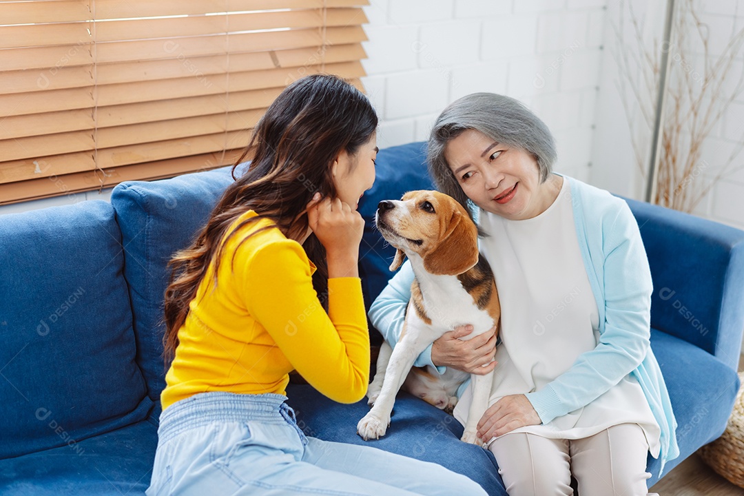 Mulher asiática sênior desfrutando de seu animal de estimação em casa