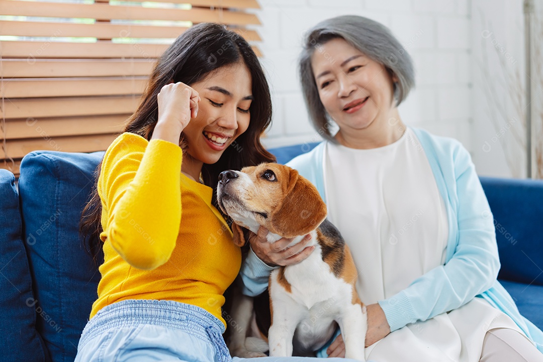 Mulher asiática sênior desfrutando de seu animal de estimação em casa