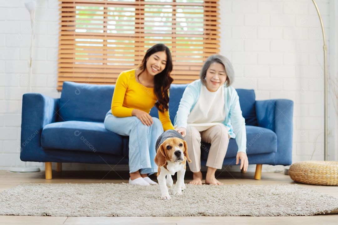 Mulher asiática sênior desfrutando de seu animal de estimação em casa