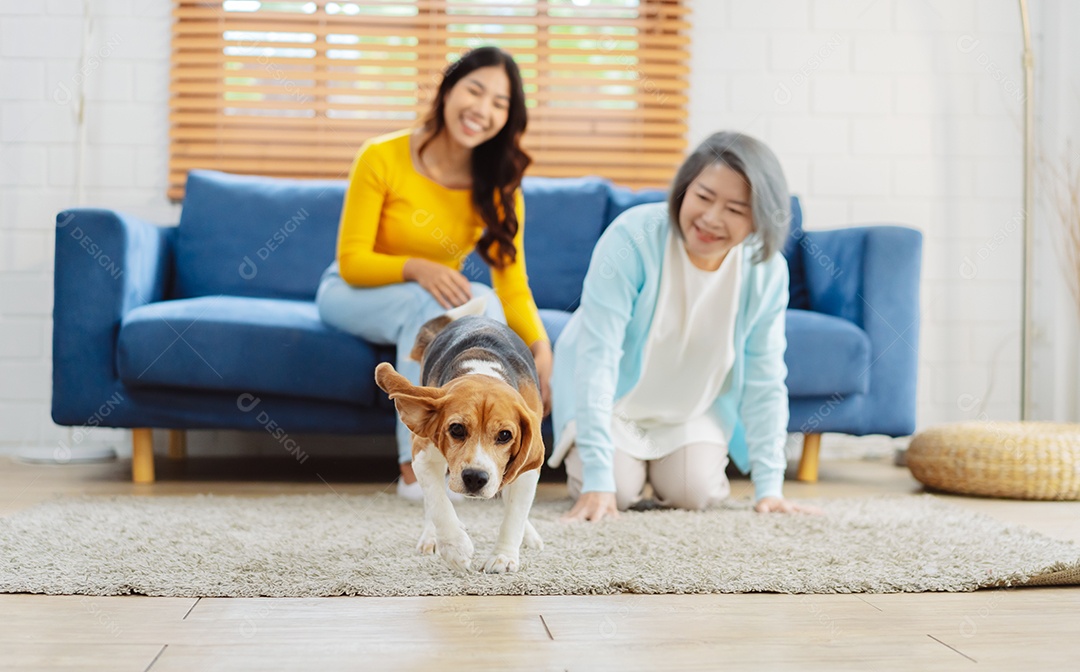 Mulher asiática sênior e filha desfrutando de seu animal de estimação em casa