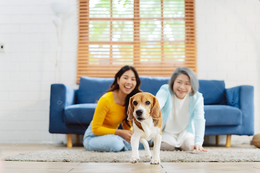 Mulher asiática sênior e filha desfrutando de seu animal de estimação em casa