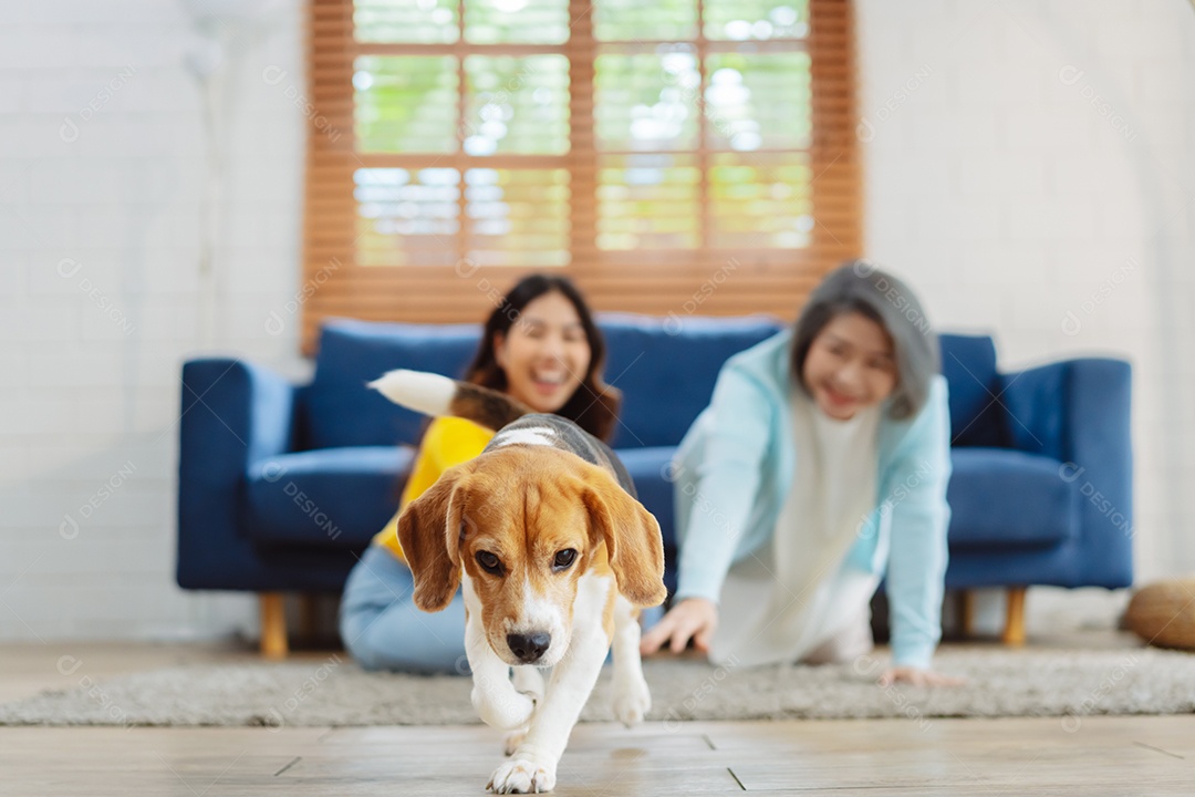 Mulher asiática sênior e filha desfrutando de seu animal de estimação em casa