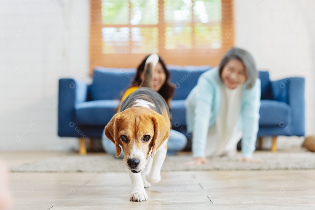 Mulher asiática sênior e filha desfrutando de seu animal de estimação em casa