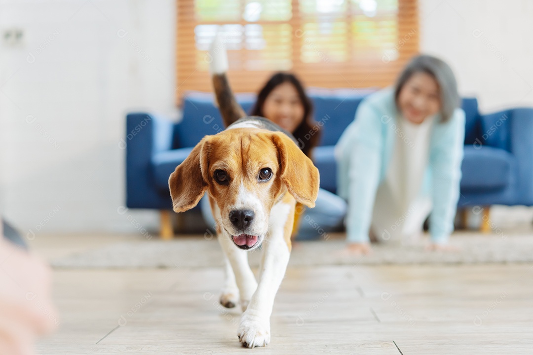 Mulher asiática sênior e filha desfrutando de seu animal de estimação em casa