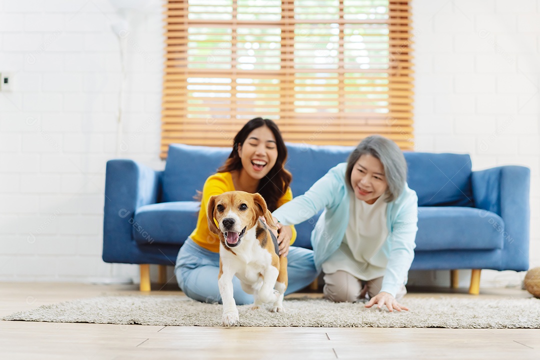 Mulher asiática sênior e filha desfrutando de seu animal de estimação em casa