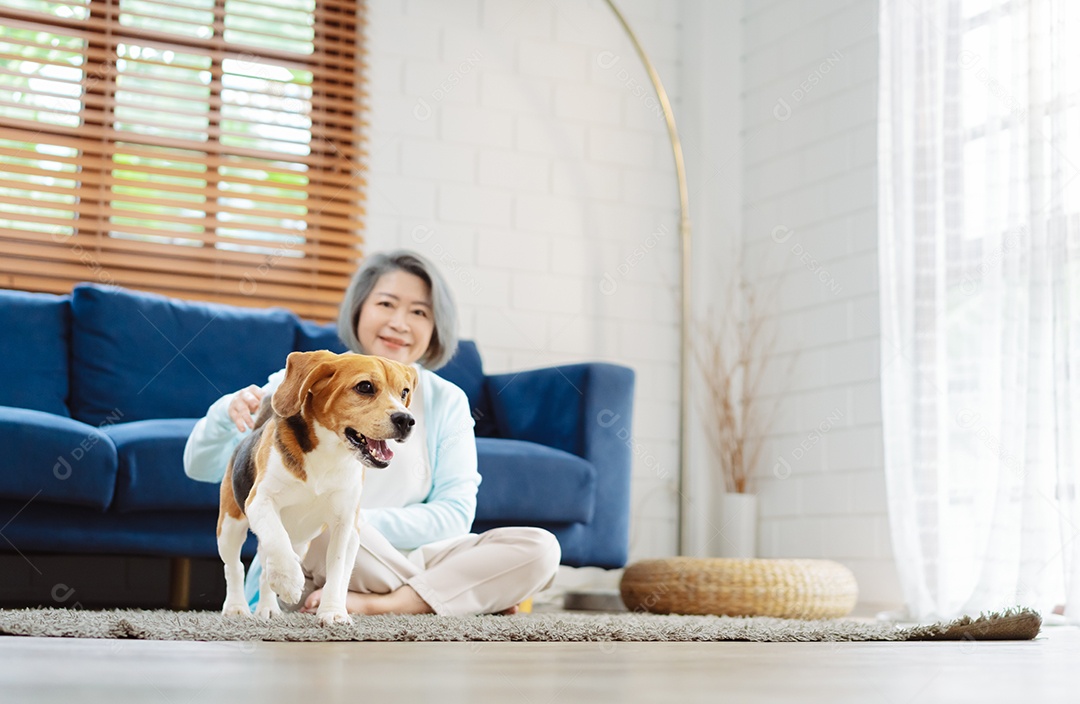 Mulher asiática sênior desfrutando de seu cão de estimação correndo em casa