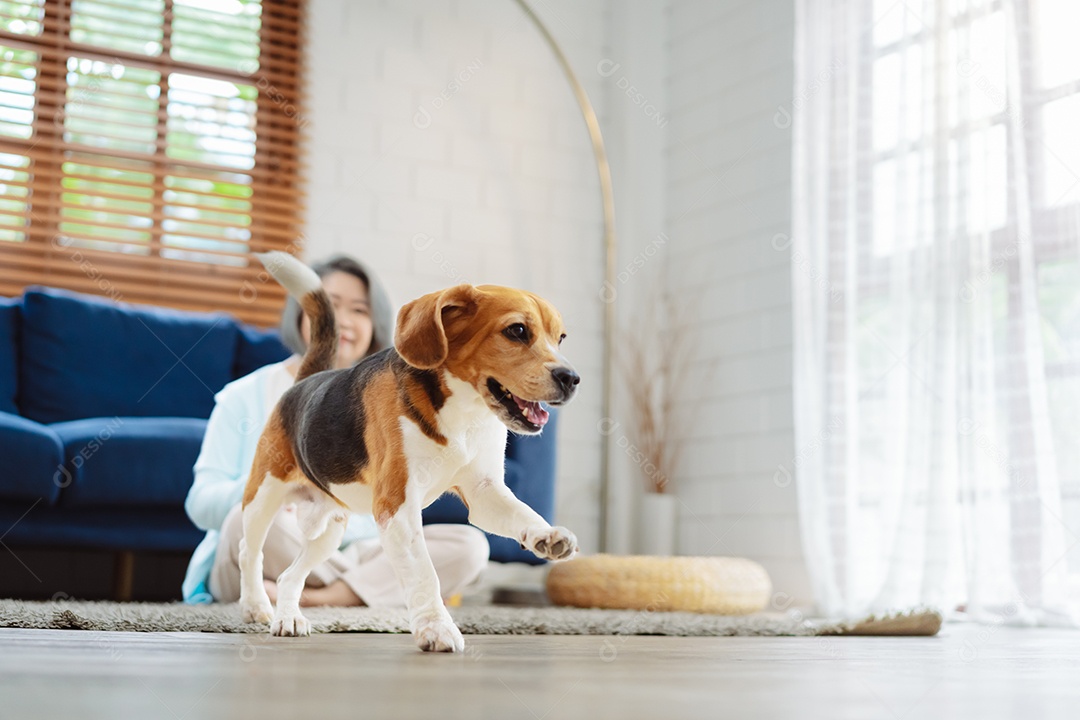Mulher asiática sênior desfrutando de seu cão de estimação correndo em casa