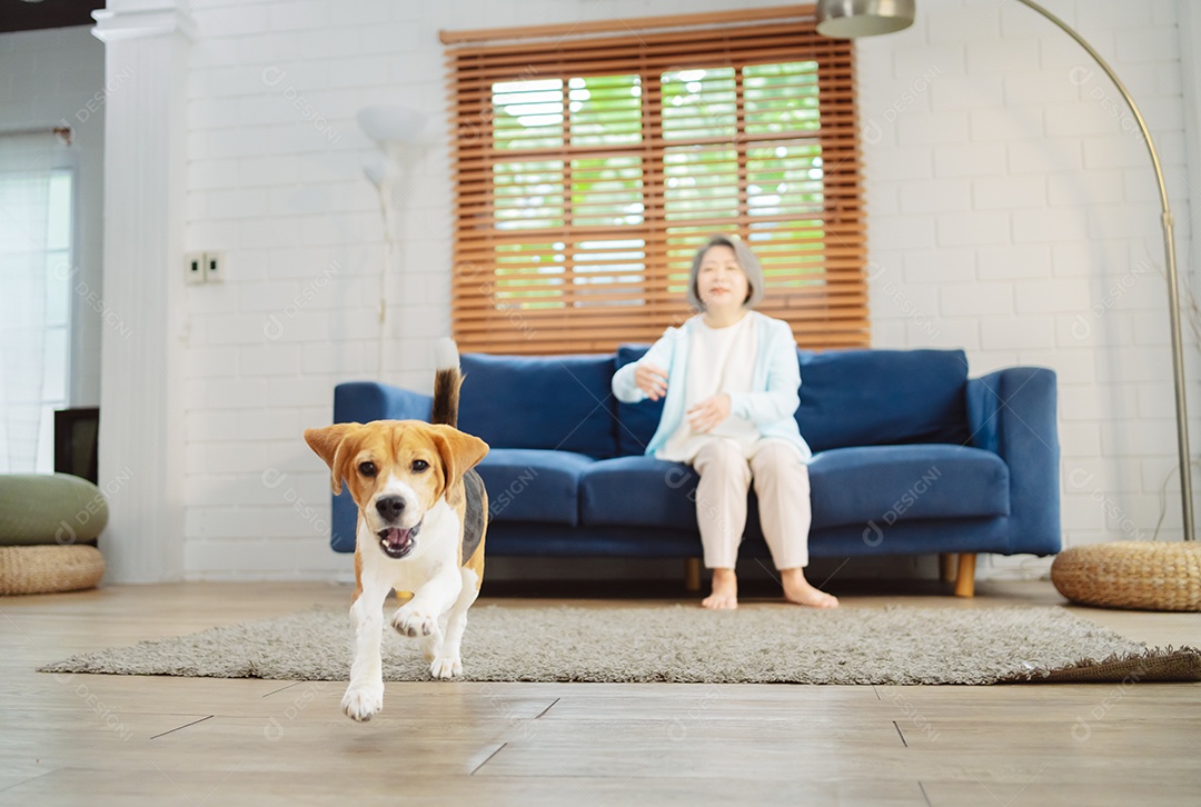 Mulher asiática sênior desfrutando de seu cão de estimação correndo em casa