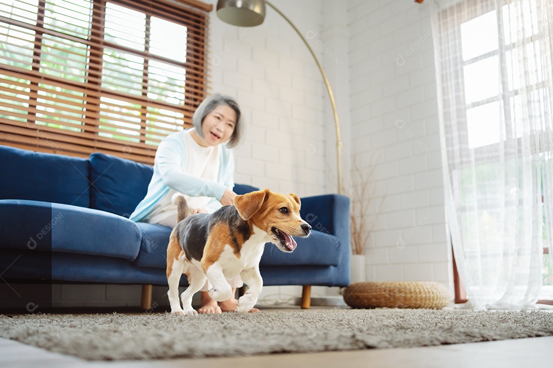 Mulher asiática sênior desfrutando de seu cão de estimação correndo em casa
