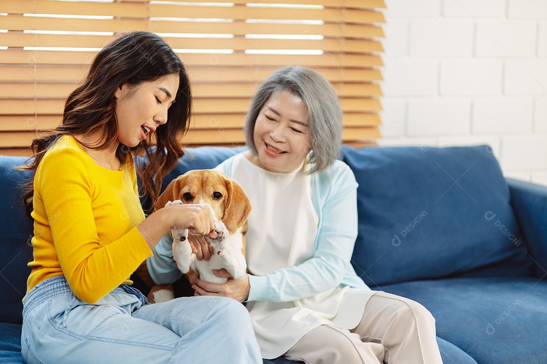 Mulher asiática sênior desfrutando de seu cão de estimação correndo em casa