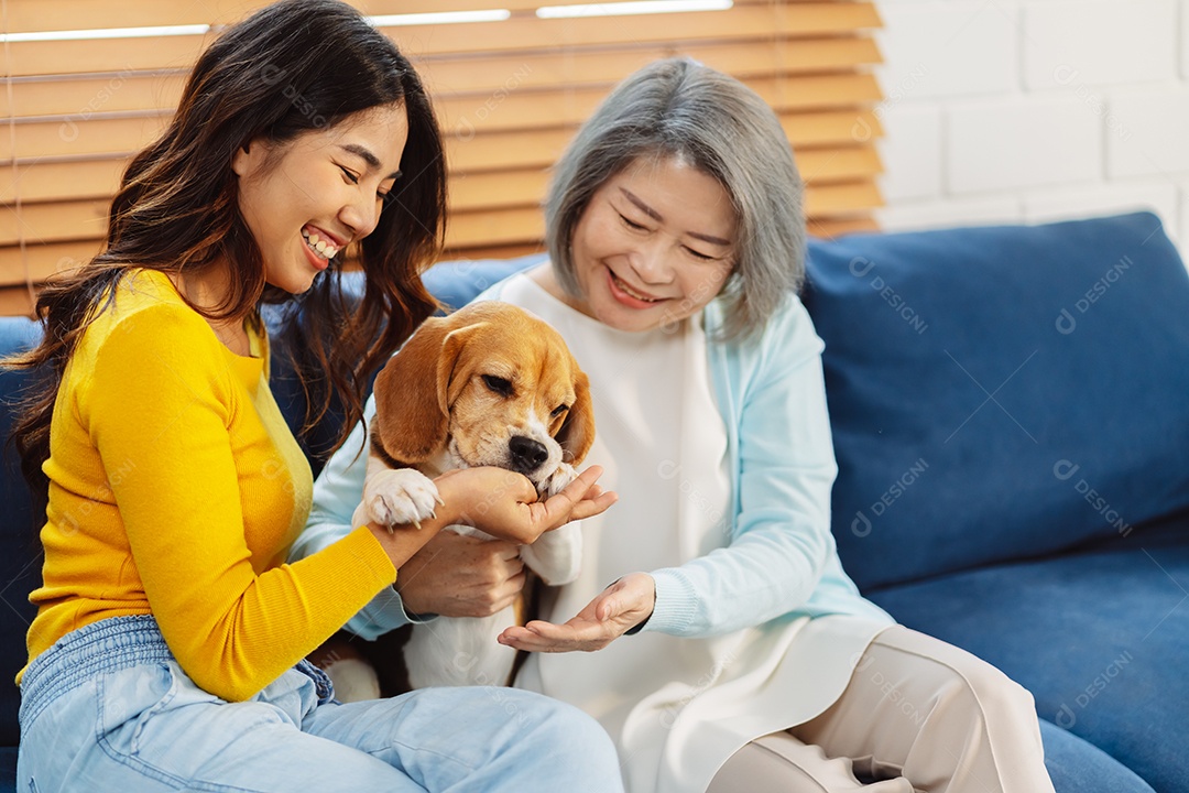 Mulher asiática sênior desfrutando de seu cão de estimação correndo em casa