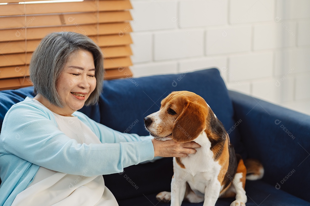 Mulher asiática sênior desfrutando de seu cão de estimação correndo em casa