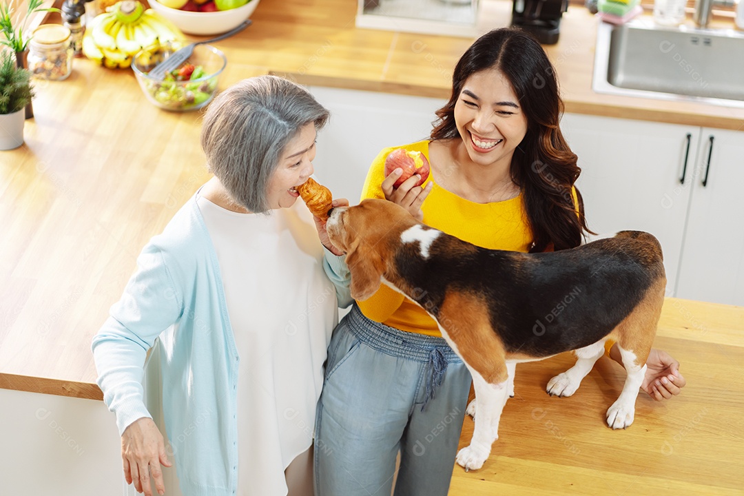 Mulher asiática sênior e filha desfrutando de seu animal de estimação em casa