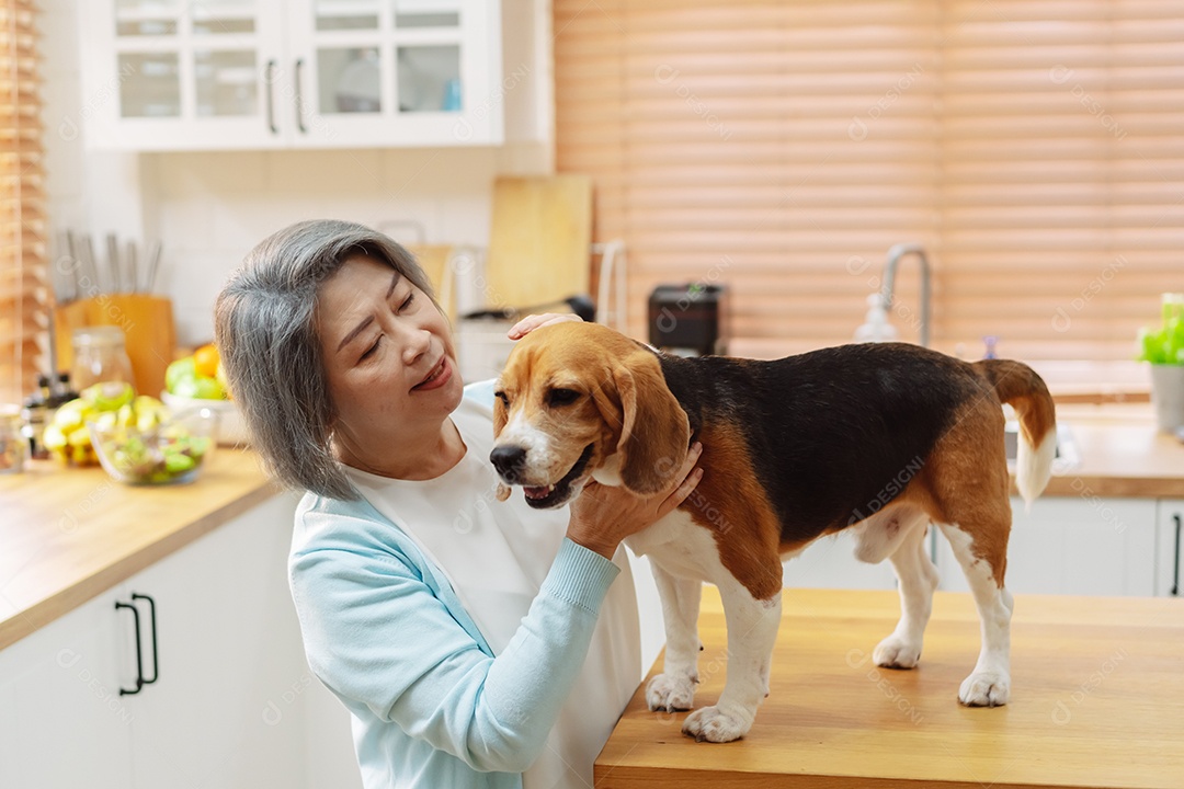 Mulher asiática sênior e filha desfrutando de seu animal de estimação em casa