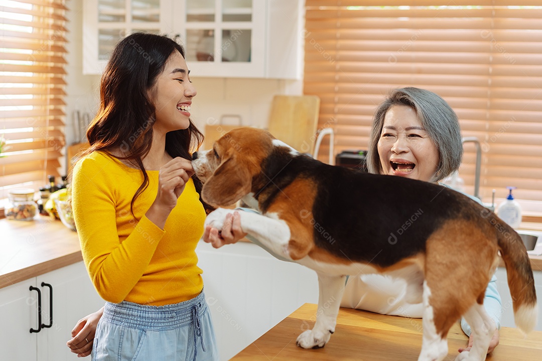 Mulher asiática sênior e filha desfrutando de seu animal de estimação em casa