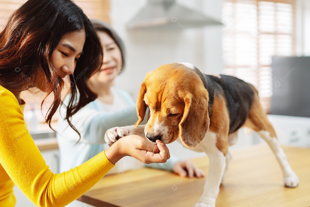 Mulher asiática sênior e filha desfrutando de seu animal de estimação em casa