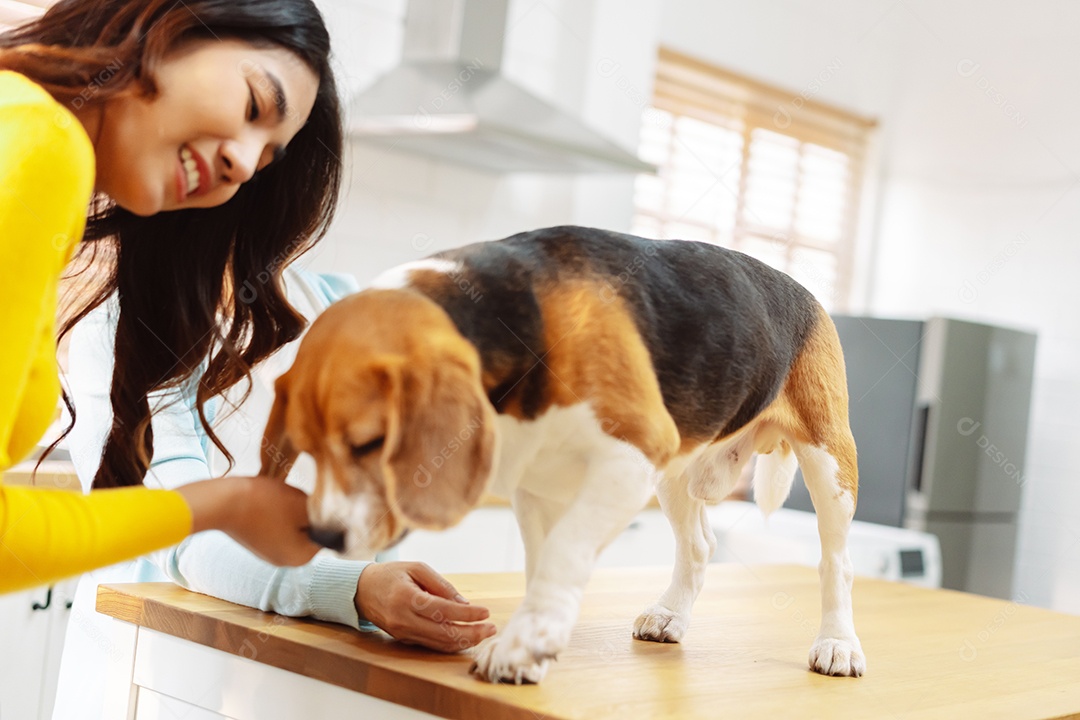 Mulher asiática sênior e filha desfrutando de seu animal de estimação em casa