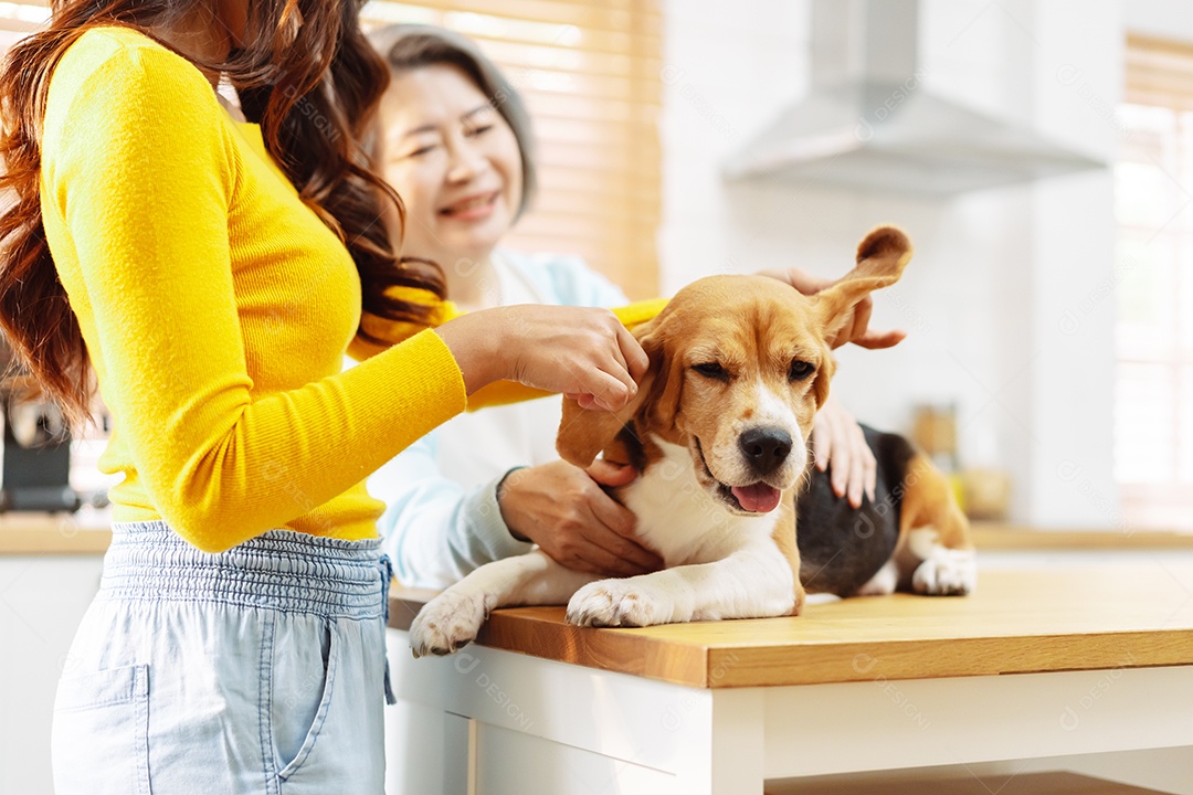 Mulher asiática sênior e filha desfrutando de seu animal de estimação em casa