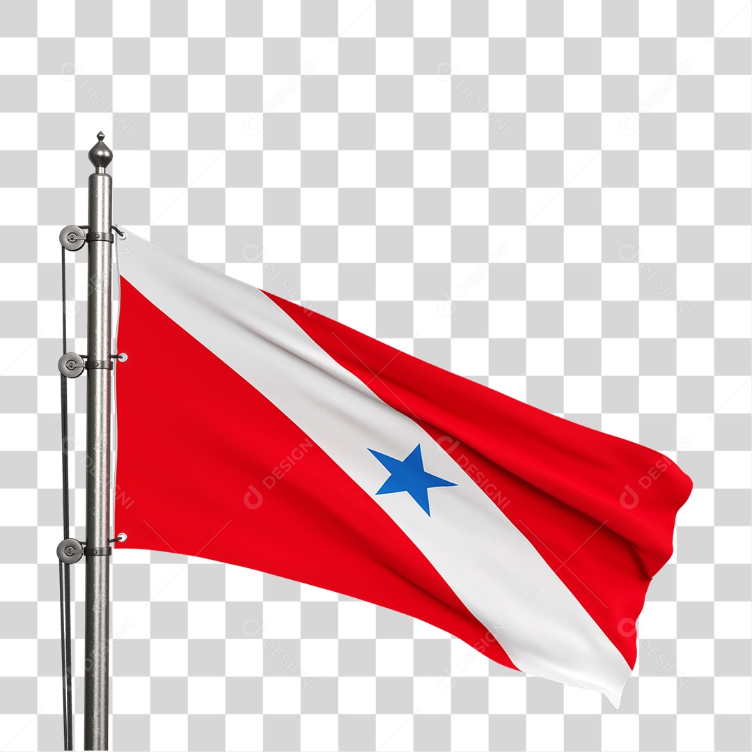 Bandeira do Pará PNG Transparente