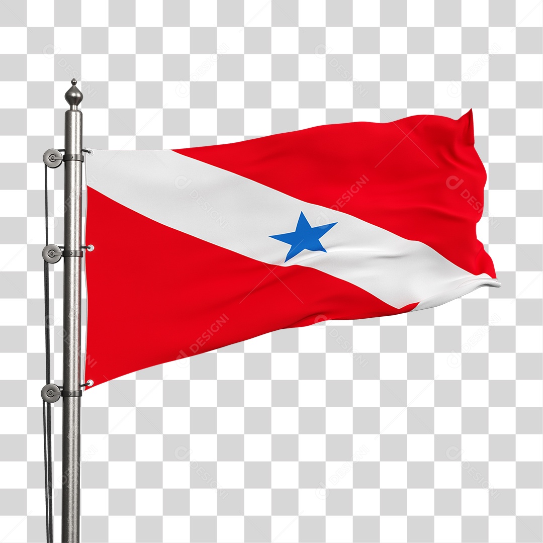 Bandeira do Pará PNG Transparente